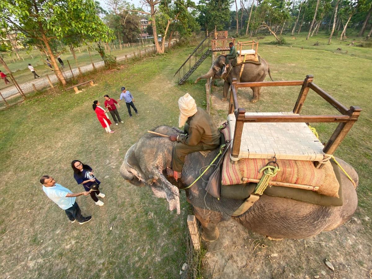 Hotel Shiva'S Dream Sauraha Eksteriør billede